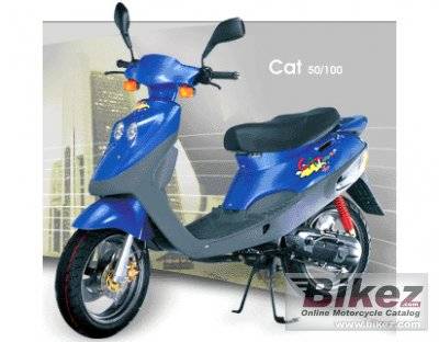 cat_50.jpg