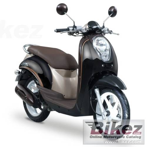 scoopy.jpg